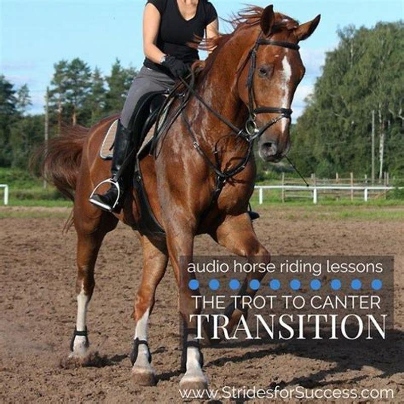 How do you canter for beginners?
