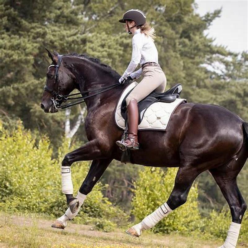 How do you control a horse in canter?