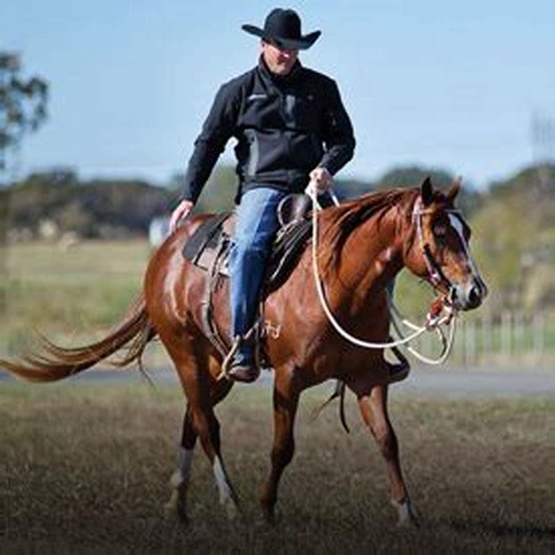 How do you fix a rearing horse on the ground?