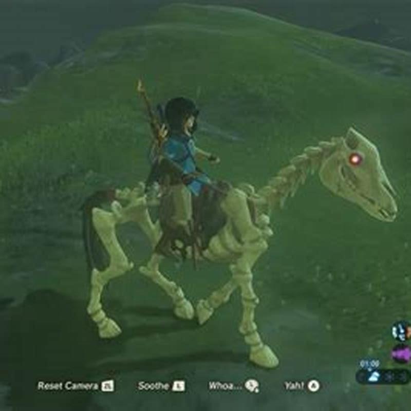 how-do-you-get-a-skeleton-horse-botw-diy-seattle