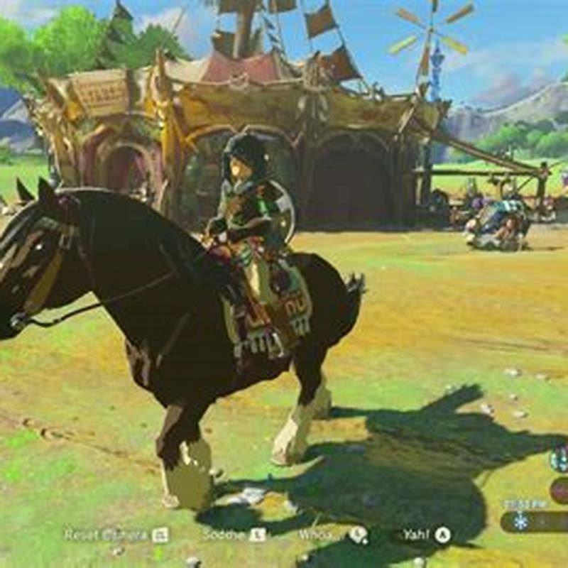 How do you get a wild horse in breath of the wild?