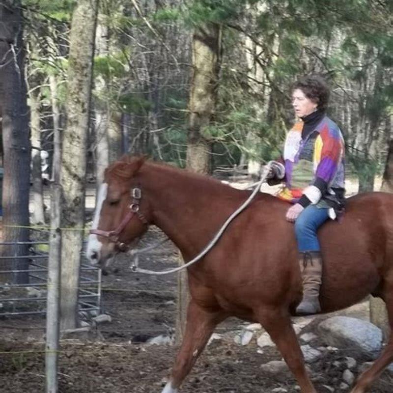 How do you get Calyrex off a horse?