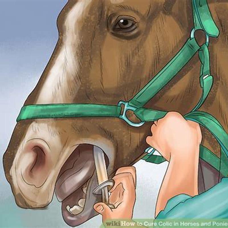 How do you get rid of colic in horses?