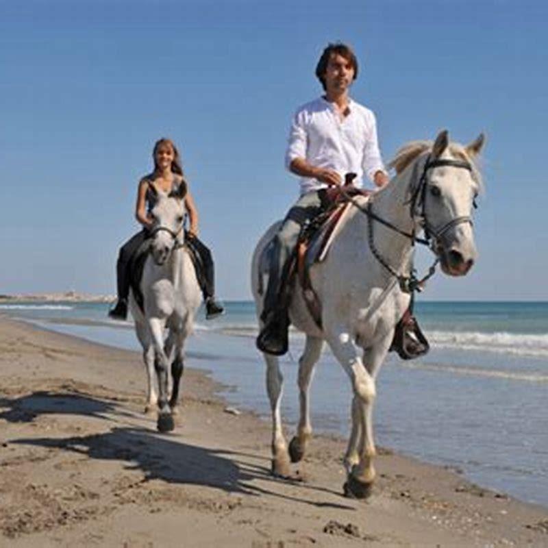 How do you get your parents to say yes to a horse?