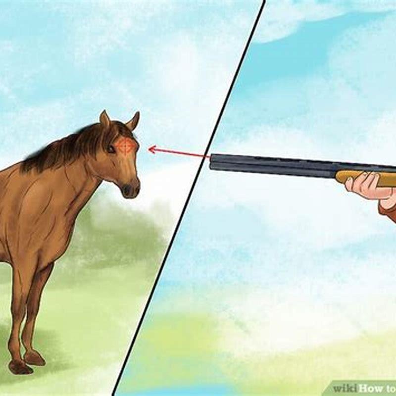 How do you humanely put down a horse?