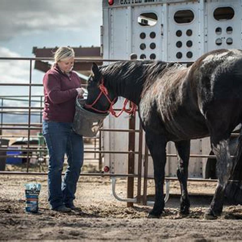 How do you hydrate a dehydrated horse?