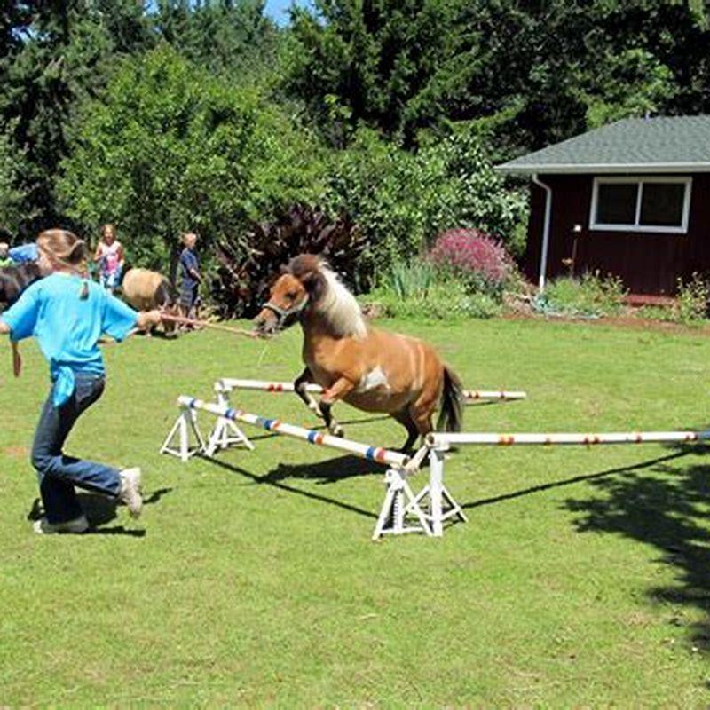 How do you lead a horse to another horse?