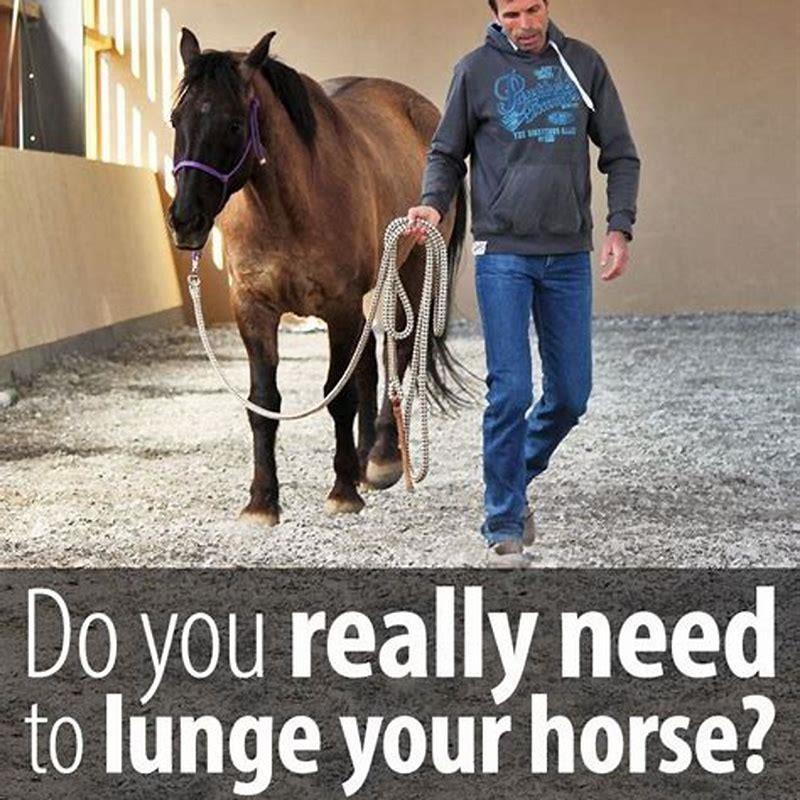 How do you lunge a horse for beginners? DIY Seattle