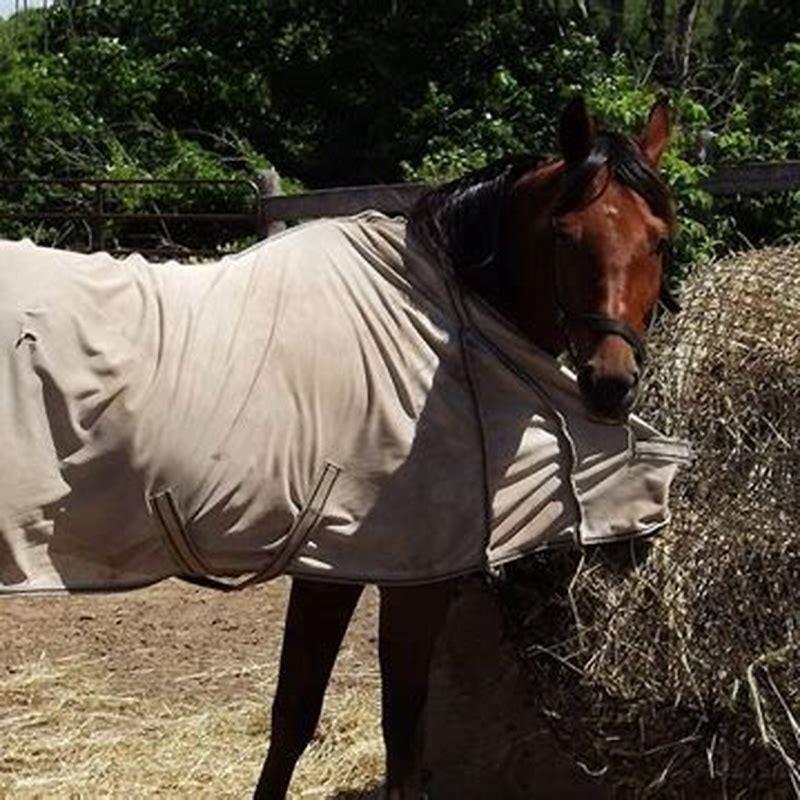 How do you make a homemade horse blanket?
