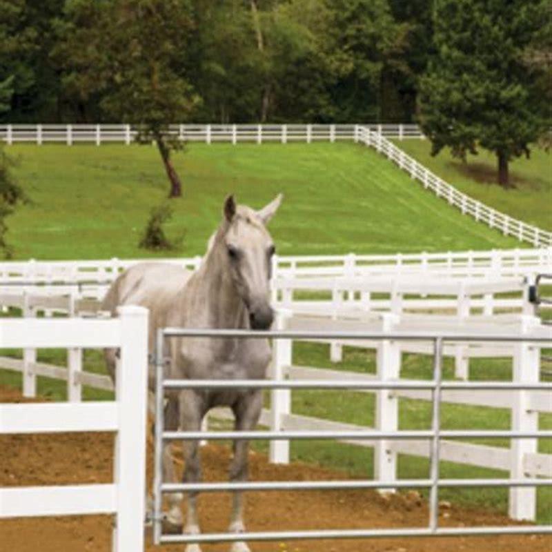 How do you make a horse paddock?