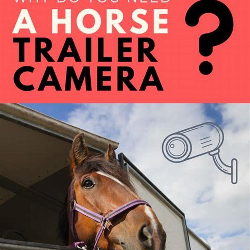 how-do-you-make-a-horse-trailer-diy-seattle