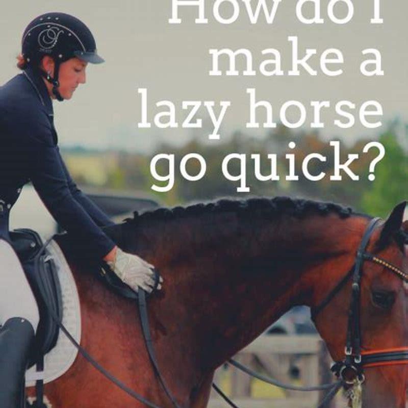 how-do-you-make-a-lazy-horse-go-forward-diy-seattle