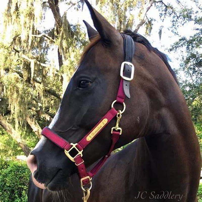 How do you make a nylon halter breakaway?