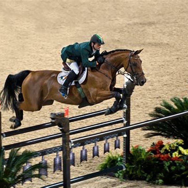 How do you make homemade horse jumps?