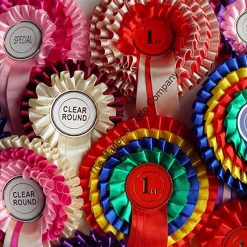 how-do-you-make-rosettes-for-horse-shows-diy-seattle