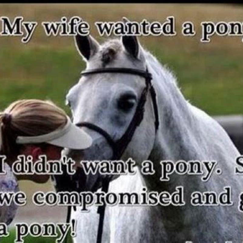 How do you mount a horse by yourself?