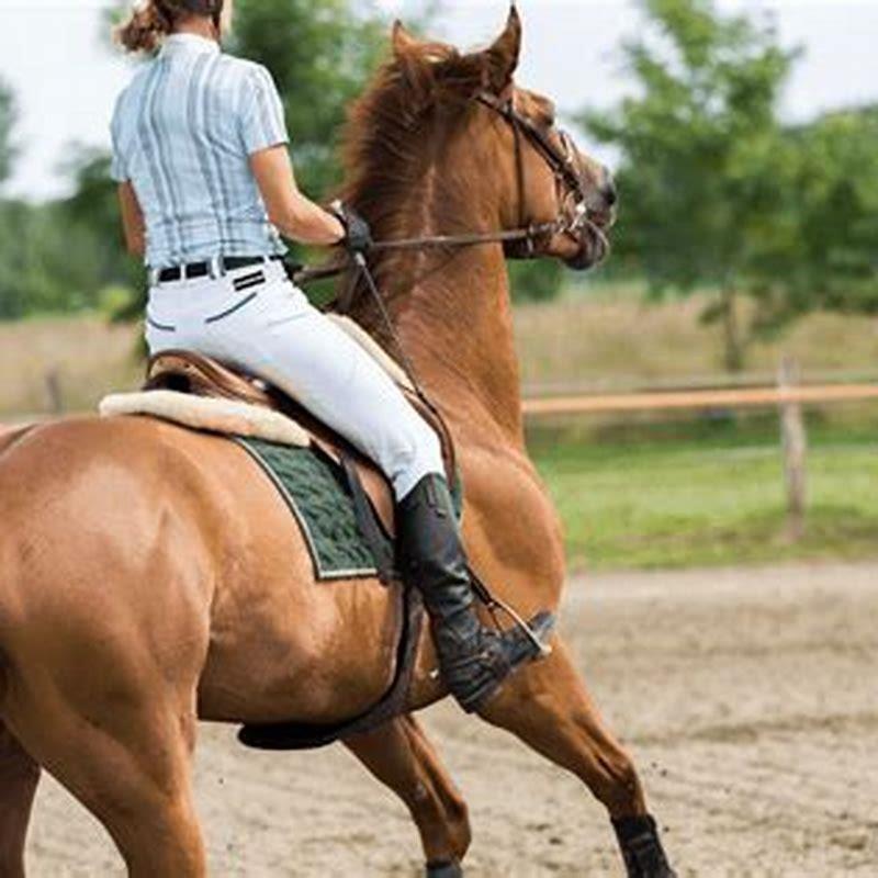 How do you mount a horse for beginners? - DIY Seattle