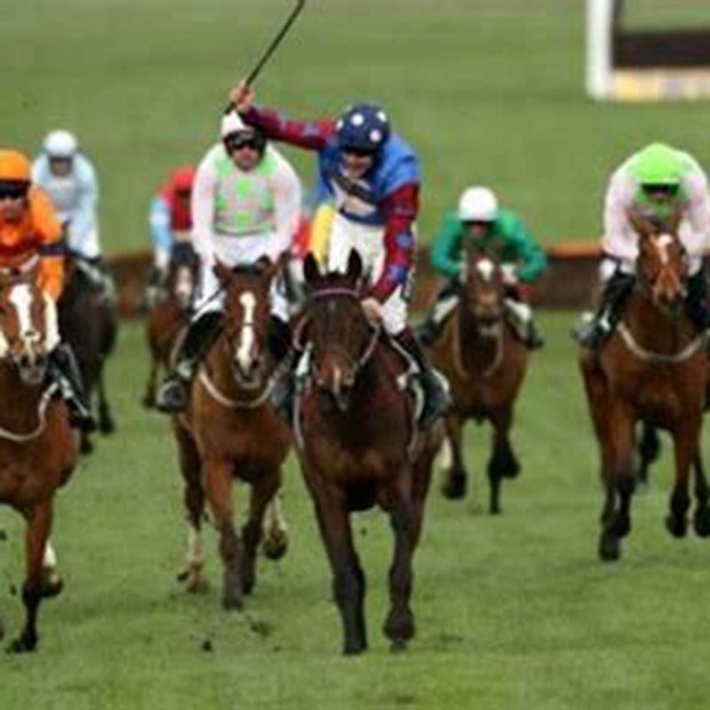 How do you pick a winning horse UK?