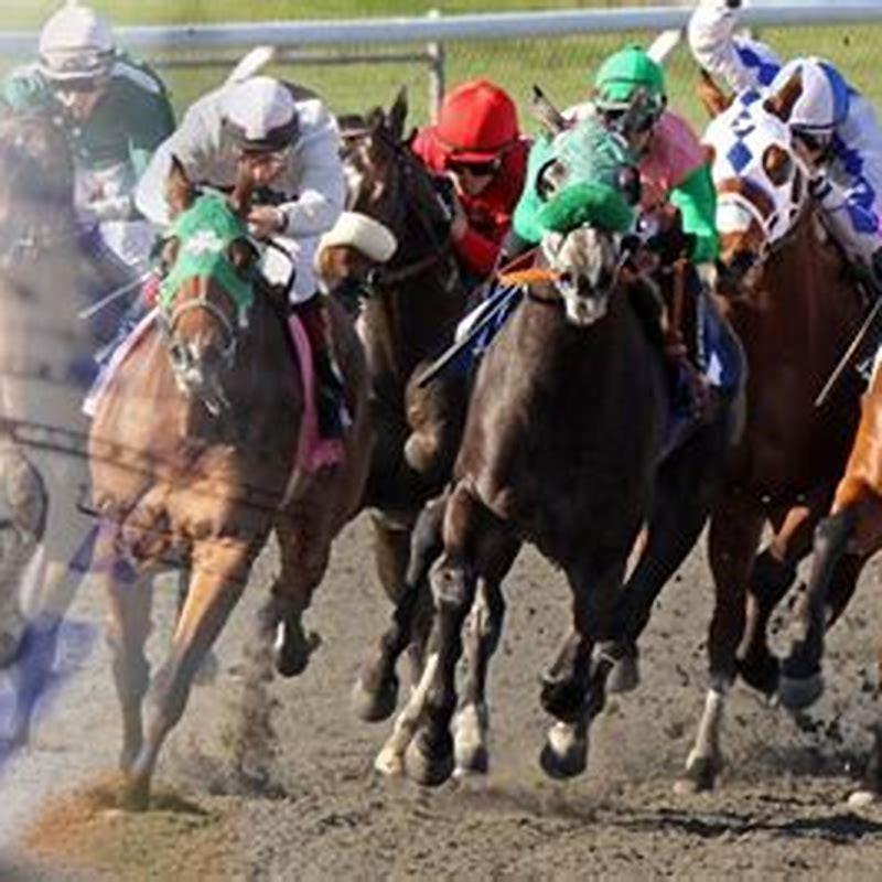 How do you place a horse bet online?