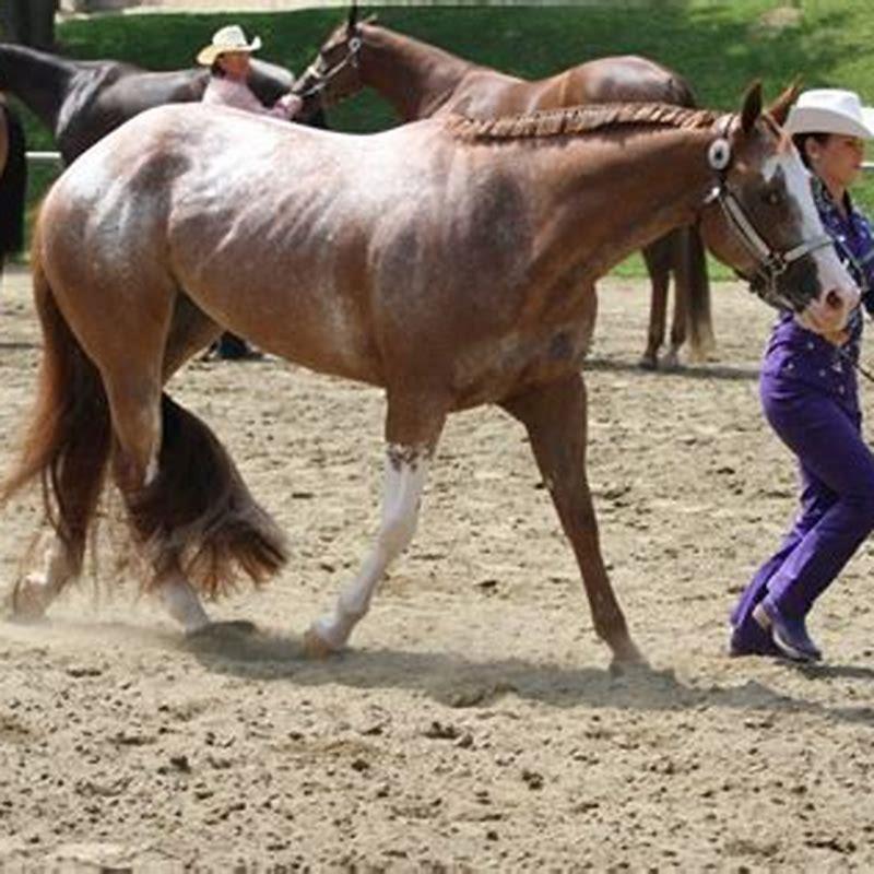How do you put on a fake tail?