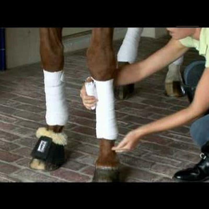 How do you put on horse exercise boots?