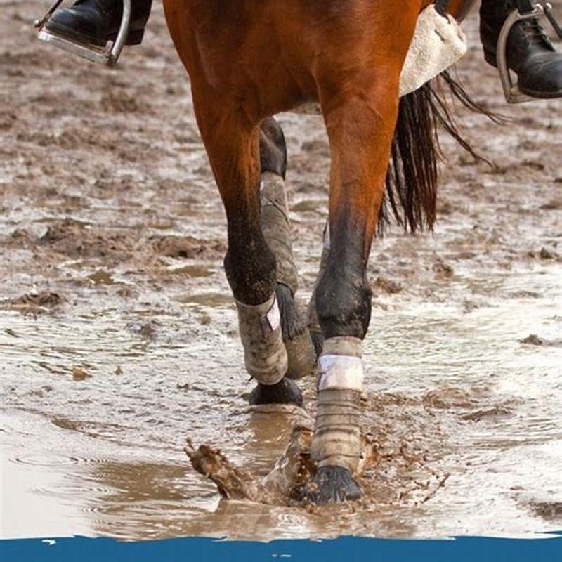 How do you regen a horse?