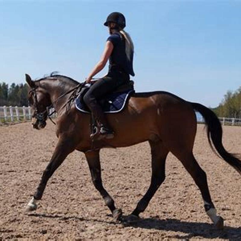 How Do You Ride A Horse When Trotting DIY Seattle