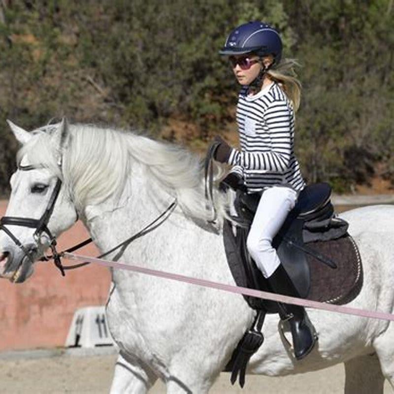 how-do-you-saddle-a-horse-for-the-first-time-diy-seattle