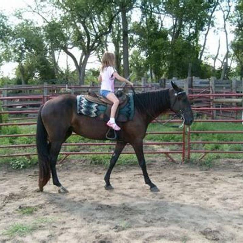 How do you sit a Tennessee Walking Horse?
