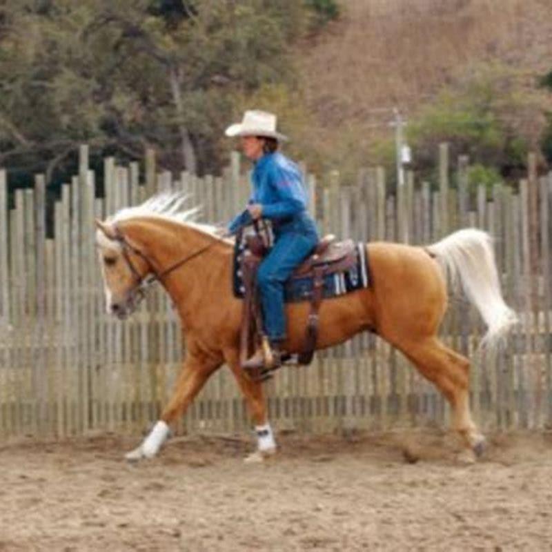 How do you sit while loping a horse?