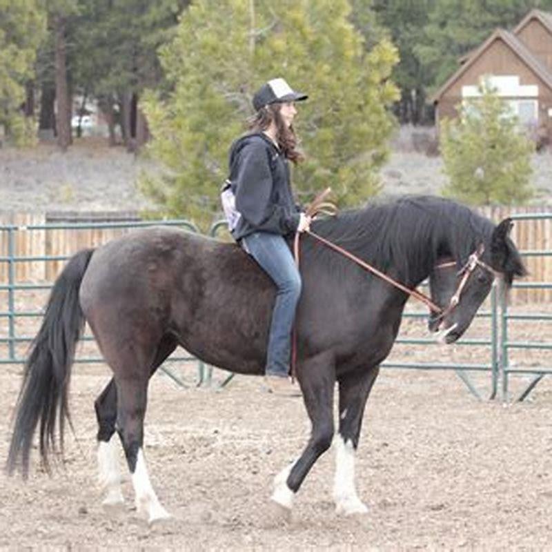 how-do-you-start-riding-a-horse-bareback-diy-seattle