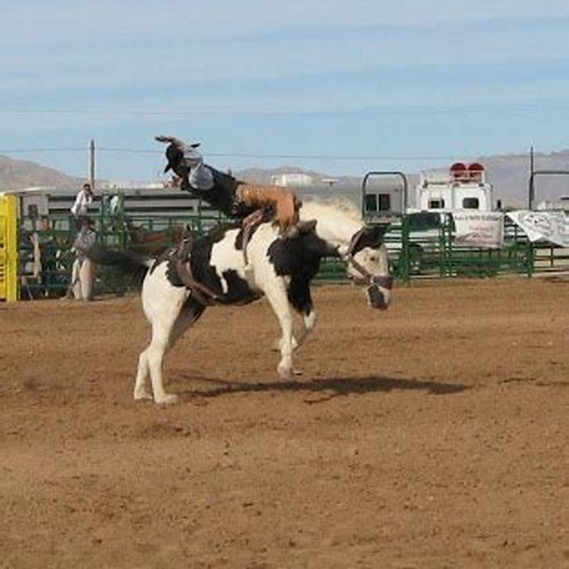 How do you stay on a bucking horse bareback?