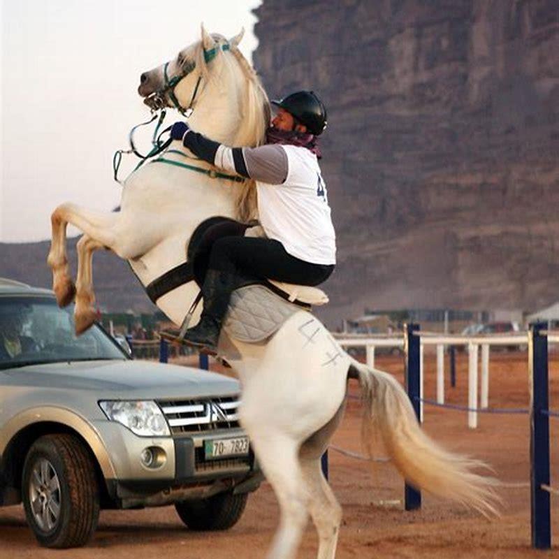 How do you stop a horse from bucking while riding? DIY Seattle