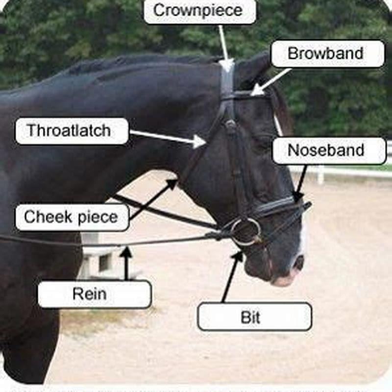 How do you tack up a pony in English?