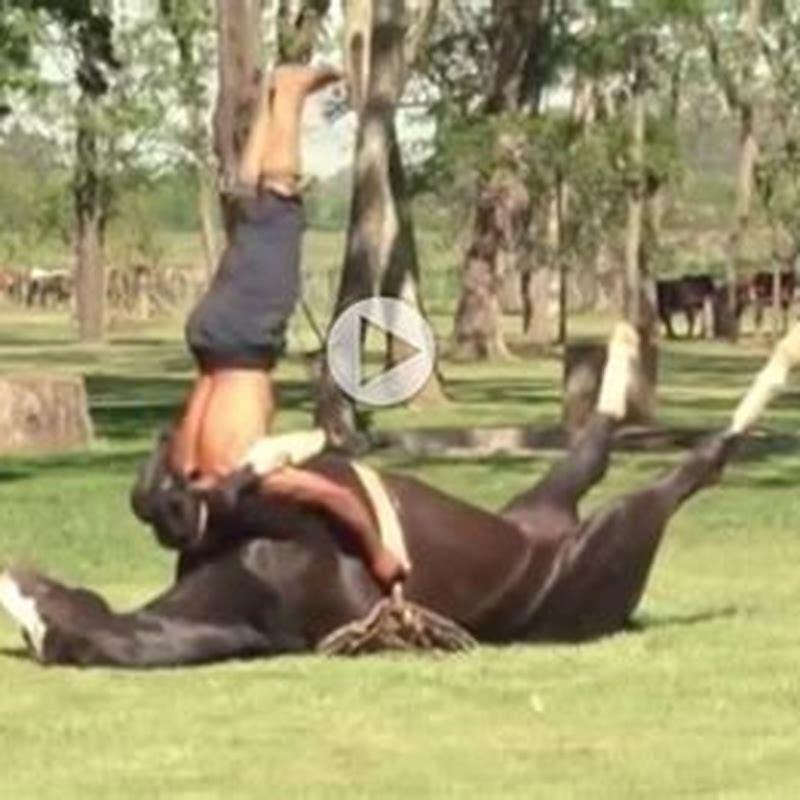 How do you tame a nervous horse?