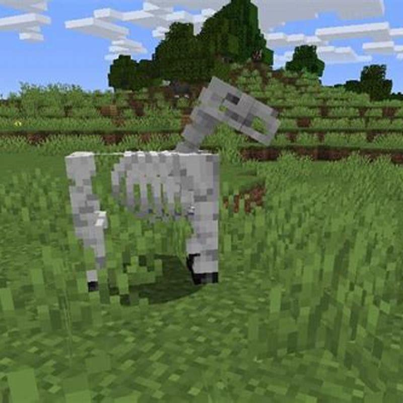 How To Tame A Skeleton Horse In Minecraft Java Edition