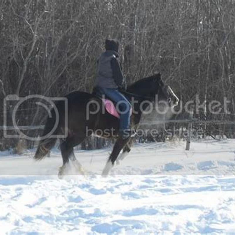 How do you teach a horse to canter for the first time?