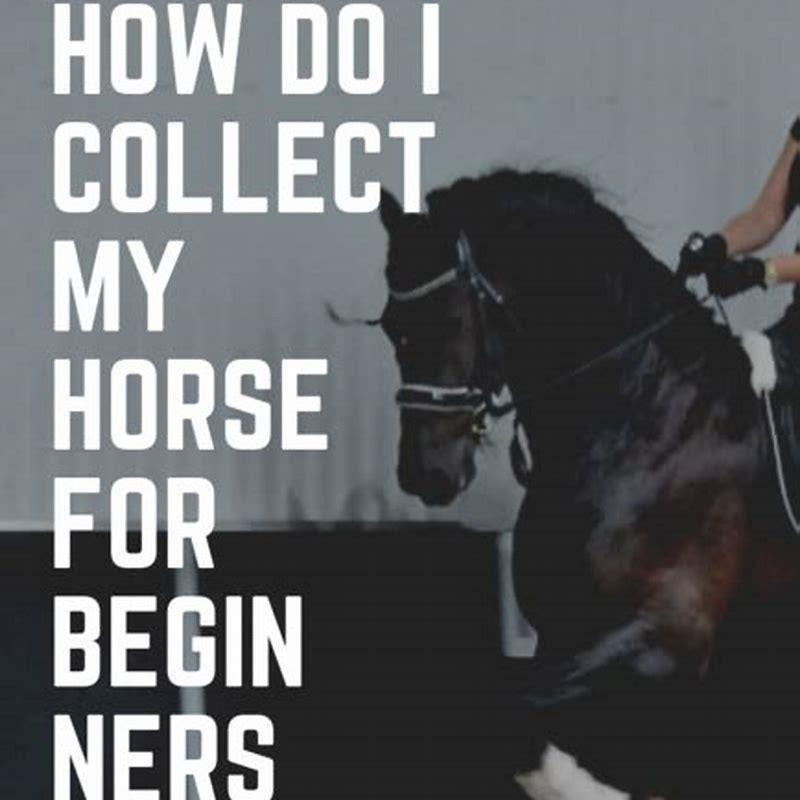 how-do-you-teach-a-horse-to-collect-diy-seattle