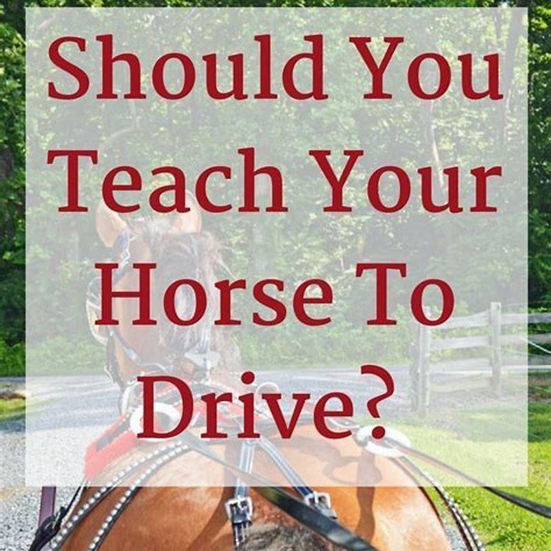 How do you teach a horse to drive?