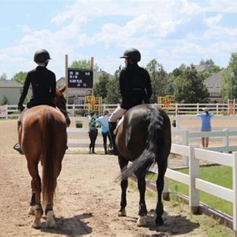 How do you teach a horse to heading?