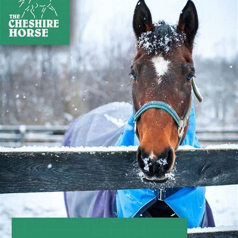 How do you teach a horse to steer?