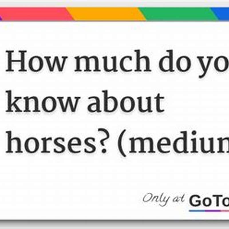 How do you tell if your horses poll is out?