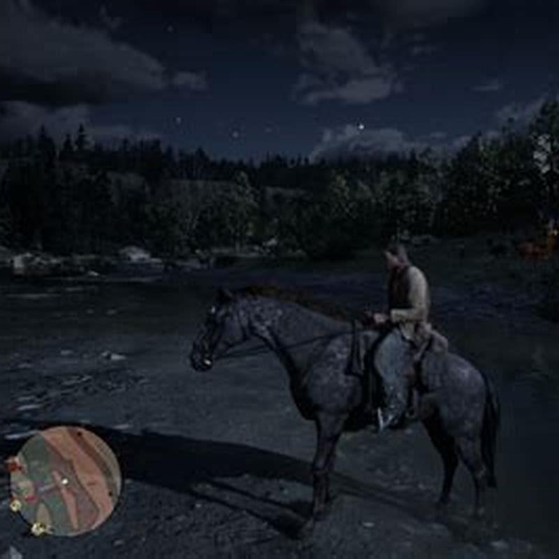 how-do-you-throw-a-lasso-in-red-dead-redemption-diy-seattle