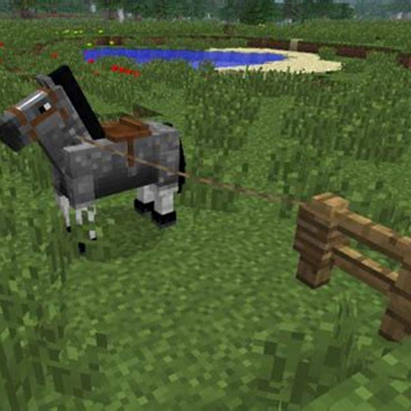 how-do-you-tie-a-horse-to-a-post-in-minecraft-diy-seattle