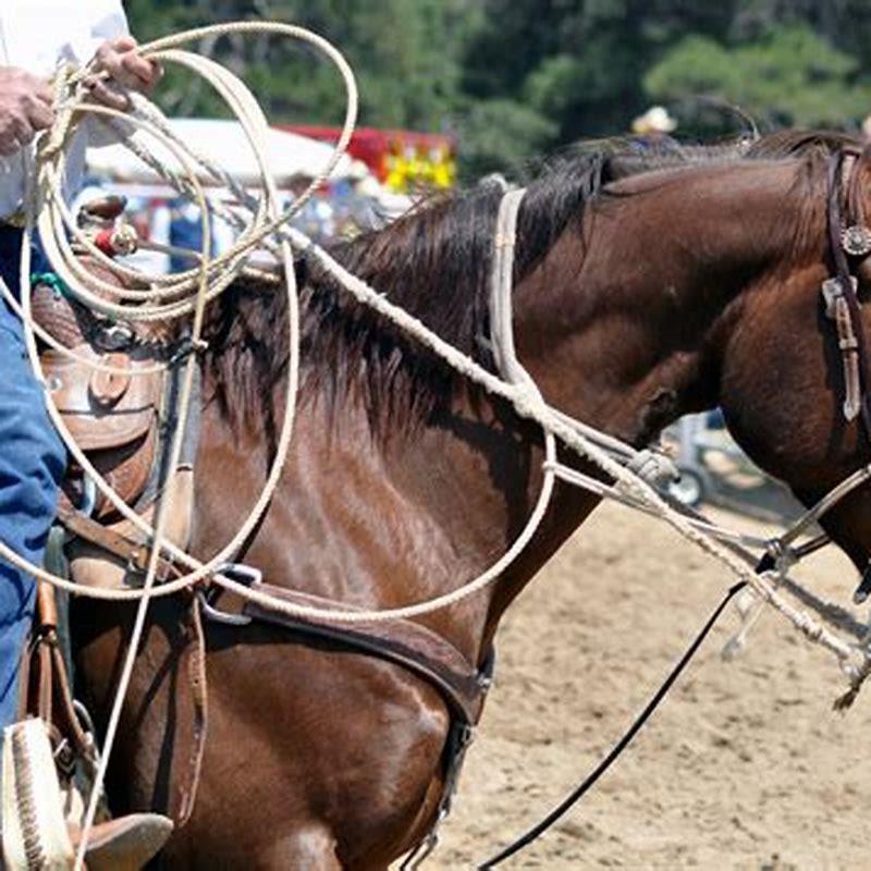 How do you tie off a horse?