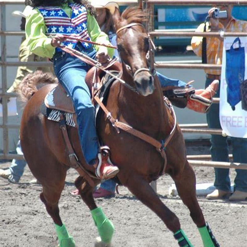 How do you train a horse to be a barrel horse?