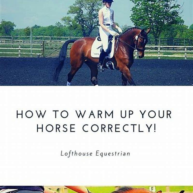 how-do-you-warm-up-a-horse-diy-seattle