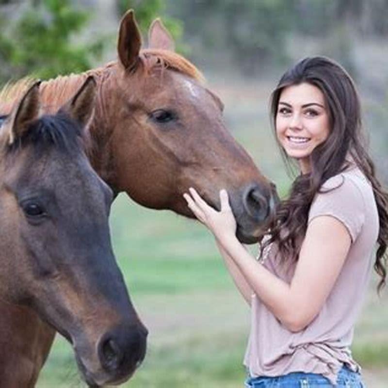 How does horse training work?
