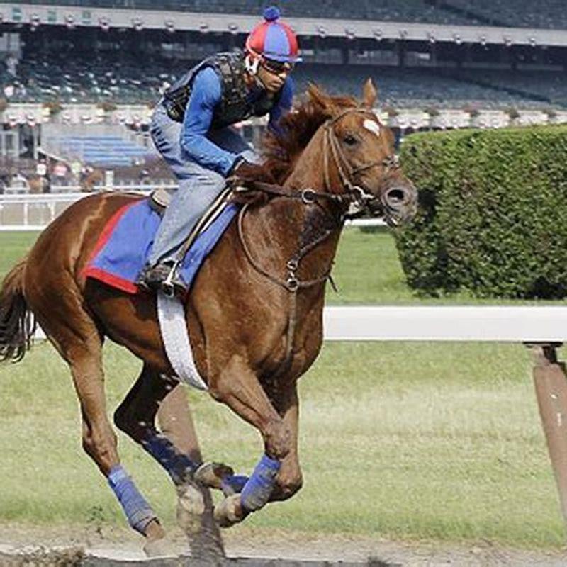 How far is Belmont Stakes from NYC?