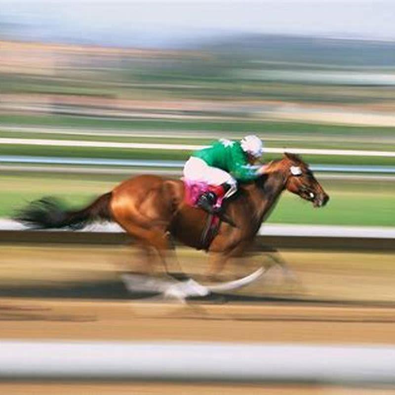 How fast can a Ferghana horse run?